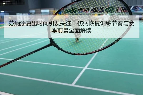 苏炳添复出时间引发关注：伤病恢复训练节奏与赛季前景全面解读