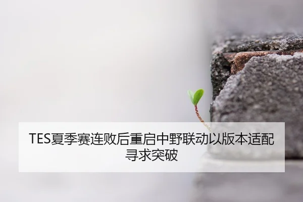 TES夏季赛连败后重启中野联动以版本适配寻求突破