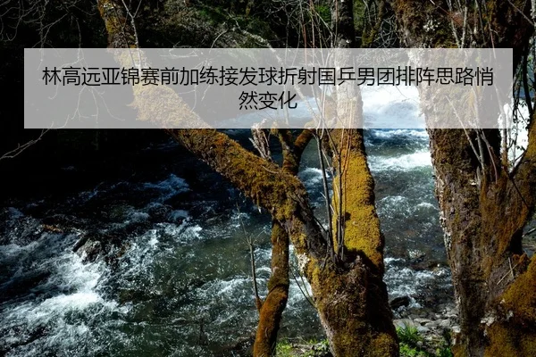 林高远亚锦赛前加练接发球折射国乒男团排阵思路悄然变化